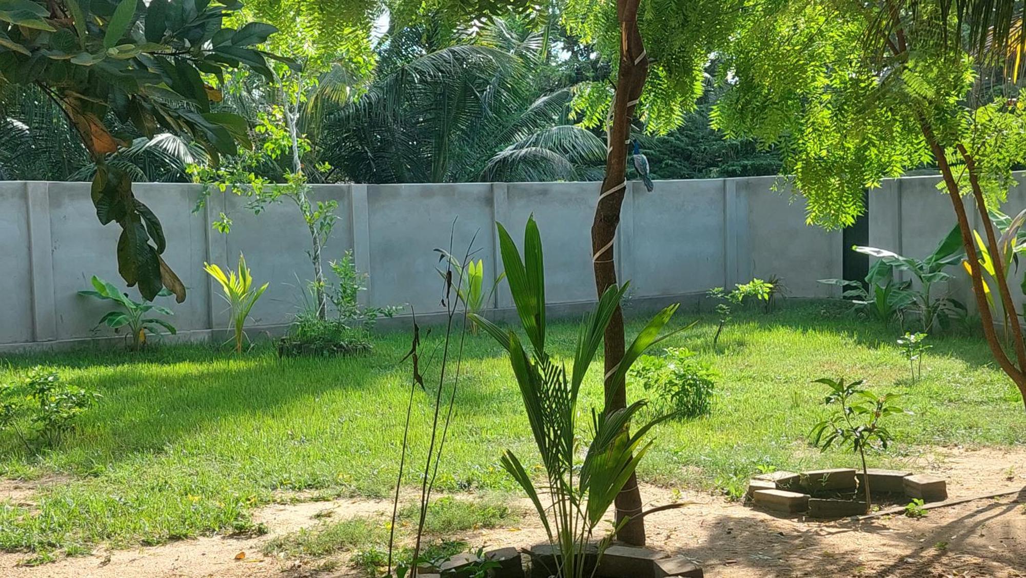 The Dream Inn Guesthouse Passikudah Batticaloa Eksteriør bilde