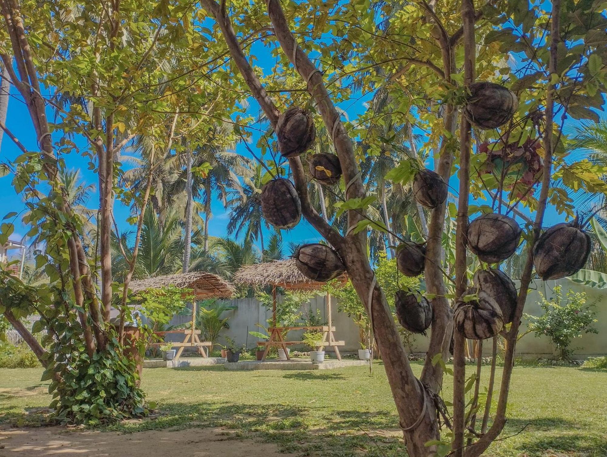 The Dream Inn Guesthouse Passikudah Batticaloa Eksteriør bilde